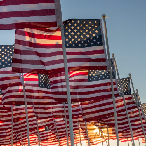 A group of American flags waving during the late afternoon sunset.